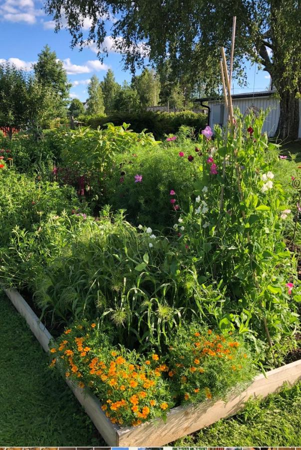 דירות טורסבי Torpgarden Oennerudsvaegen 56 מראה חיצוני תמונה