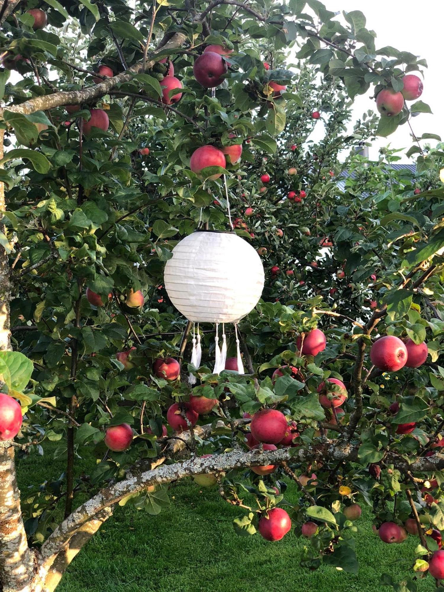 דירות טורסבי Torpgarden Oennerudsvaegen 56 מראה חיצוני תמונה